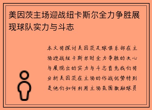 美因茨主场迎战纽卡斯尔全力争胜展现球队实力与斗志